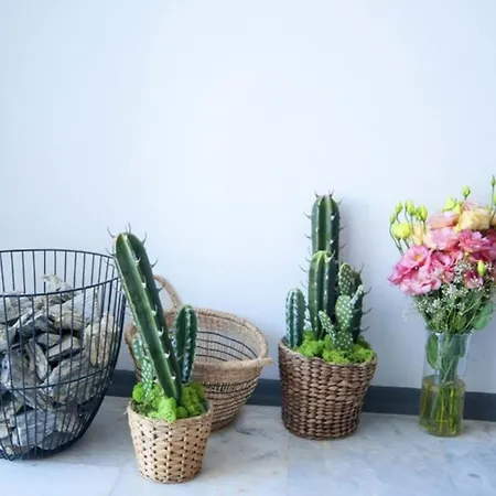 מלון Smart בודרום